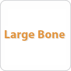 Orthopedic Large Bone Power Tools